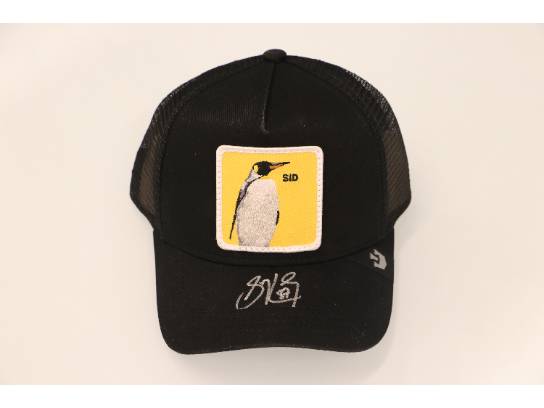 Image of the Item