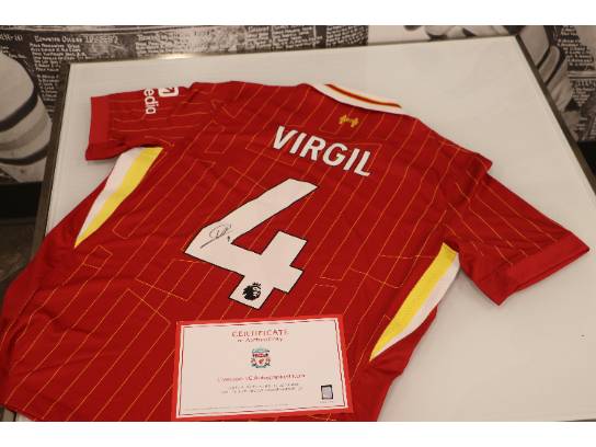 Image of the Item