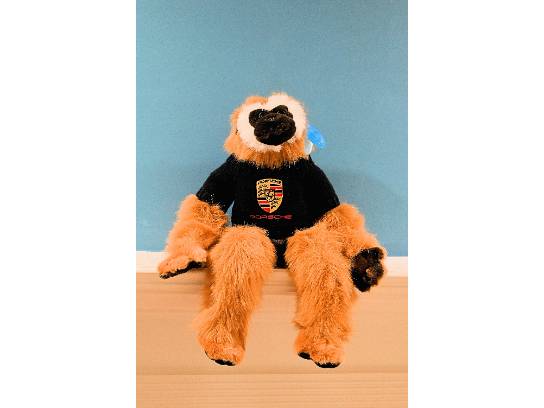 Image of the Item