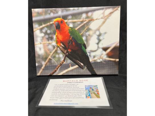 Image of the Item