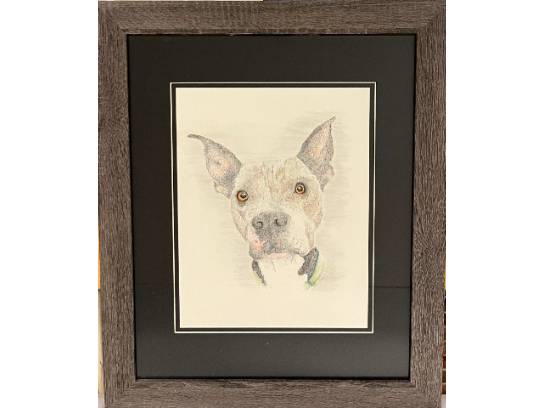 Image of the Item
