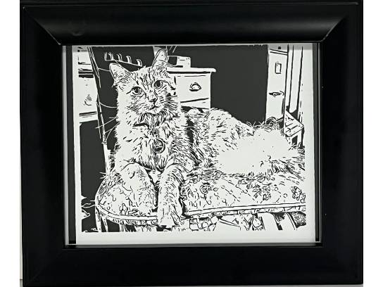 Image of the Item
