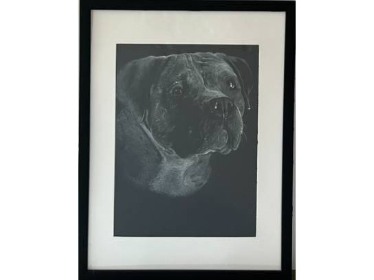 Image of the Item