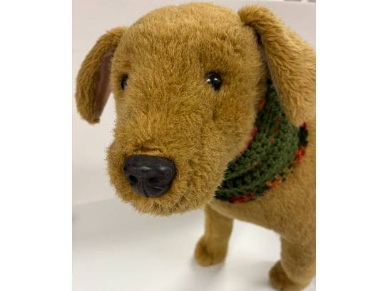 Image of the Item