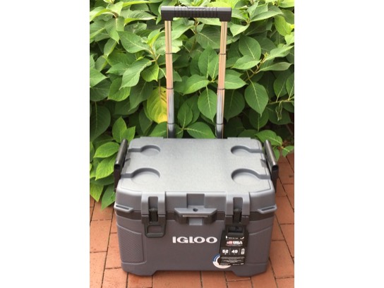 Image of the Item