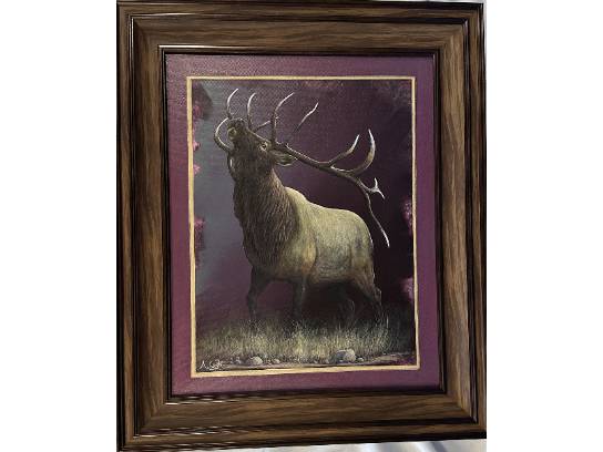 Image of the Item