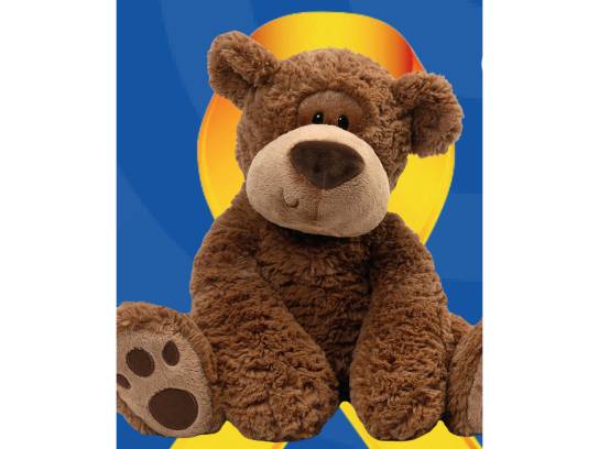 Image of the Item