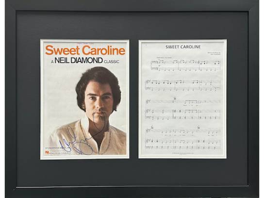 Image of the Item
