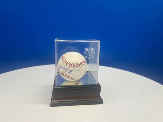 Image of the Item