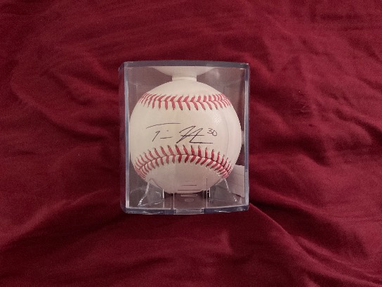 Image of the Item