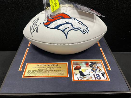 Image of the Item