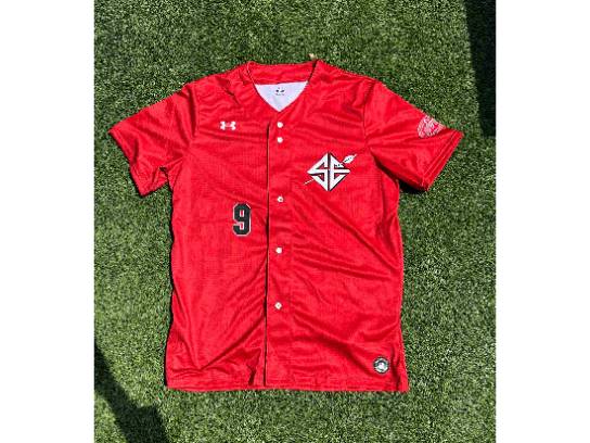 Image of the Item