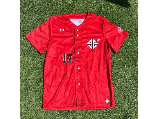 Image of the Item