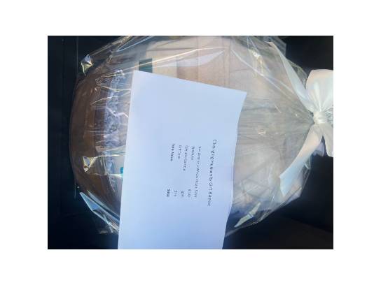 Image of the Item