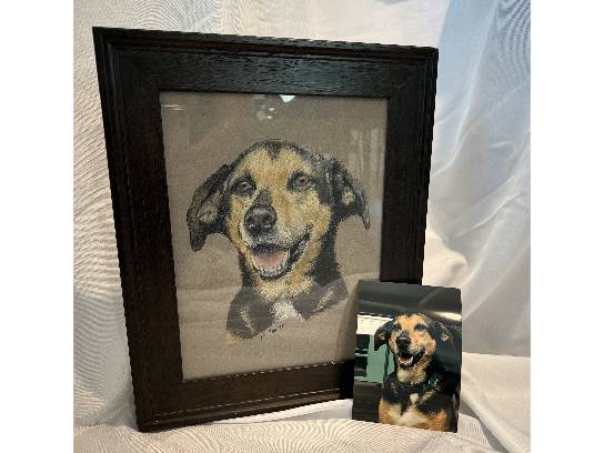 Image of the Item