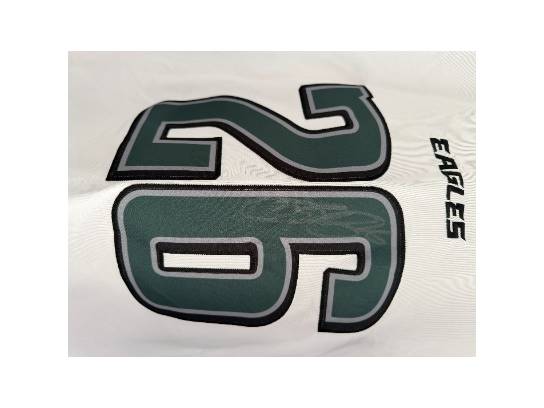 Image of the Item
