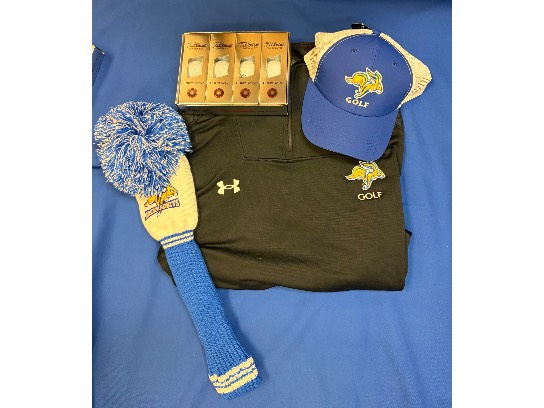 Image of the Item