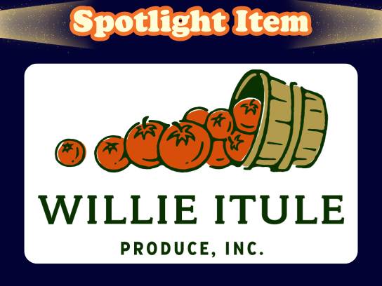 Image of the Item