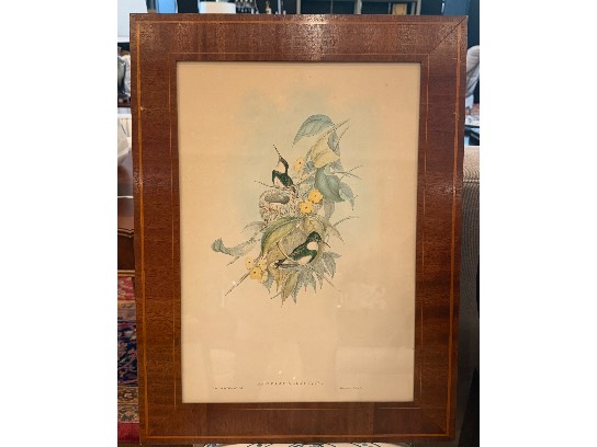 Image of the Item