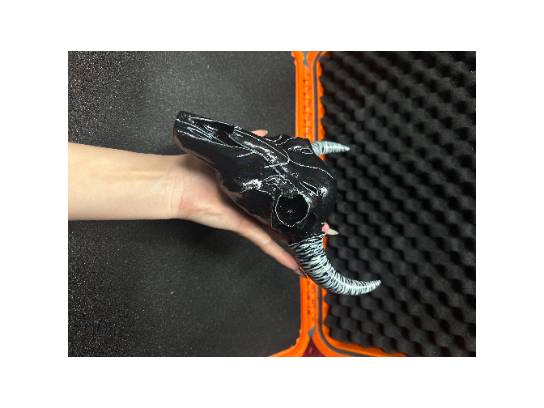 Image of the Item