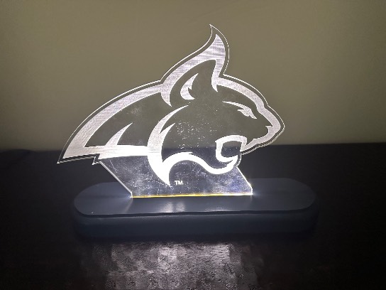 Image of the Item