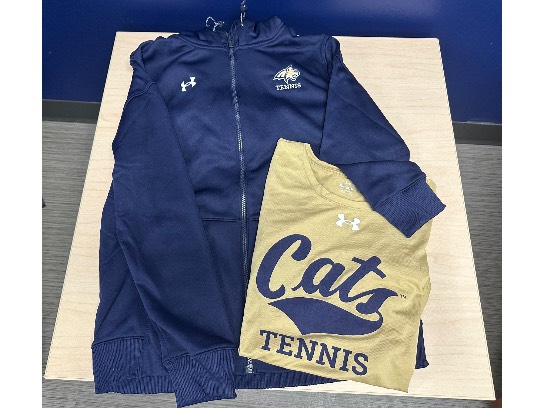 Image of the Item