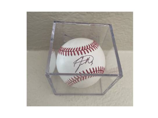 Image of the Item