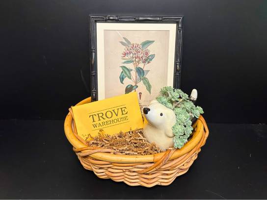 Image of the Item