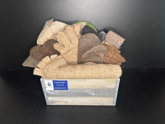 Image of the Item