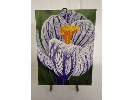 Image of the Item