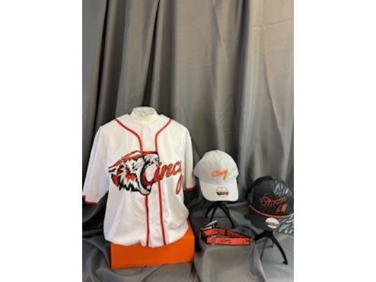 Image of the Item