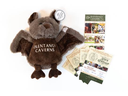 Image of the Item
