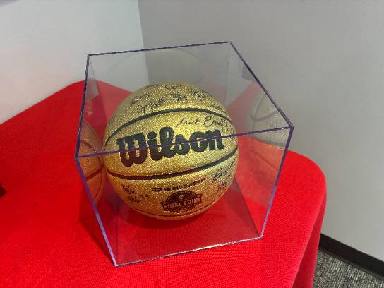 Image of the Item