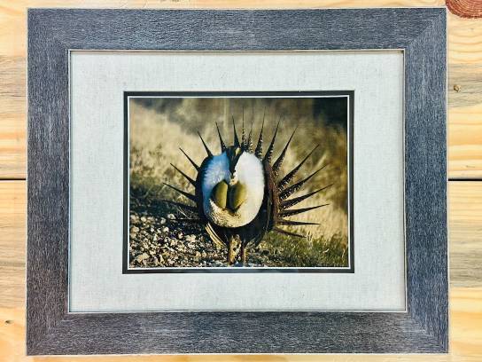 Image of the Item
