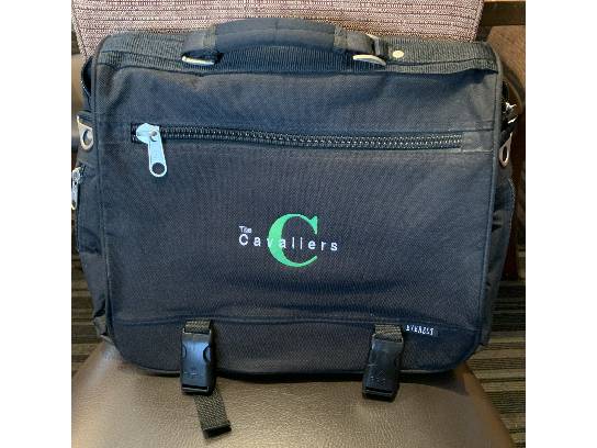 Image of the Item