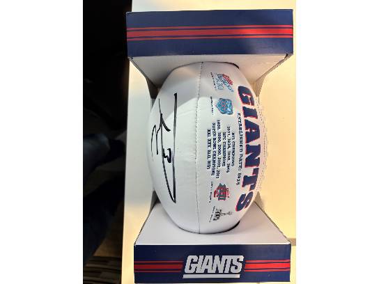 Image of the Item