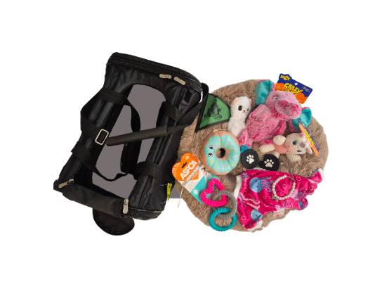 Image of the Item
