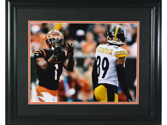 Image of the Item
