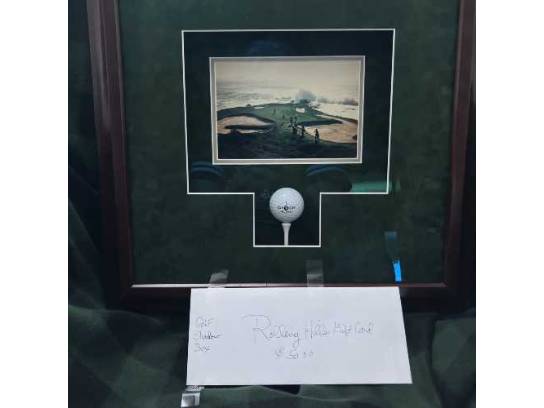 Image of the Item