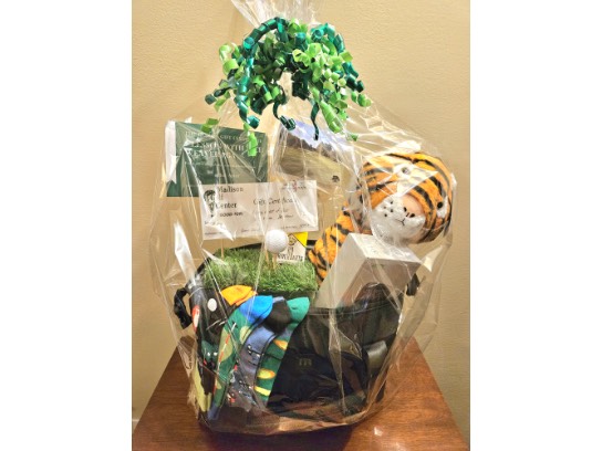 Image of the Item