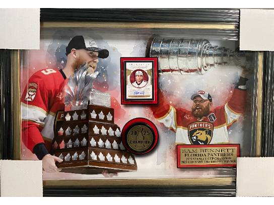 Image of the Item