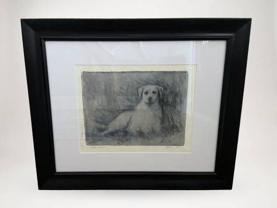 Image of the Item