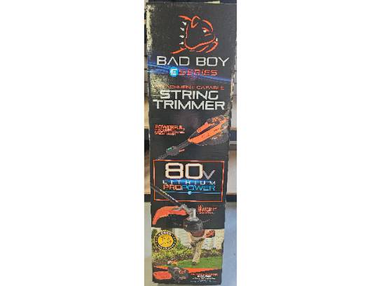 Image of the Item