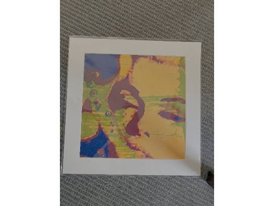 Image of the Item