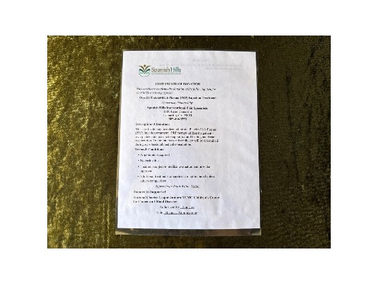 Image of the Item