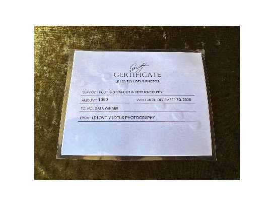 Image of the Item