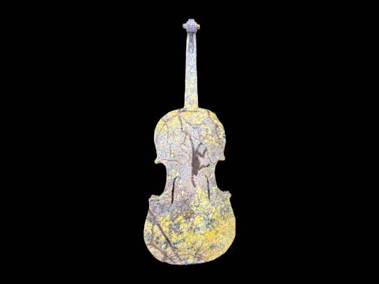 Image of the Item