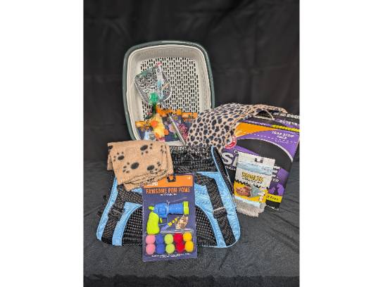 Image of the Item