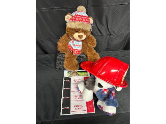 Image of the Item