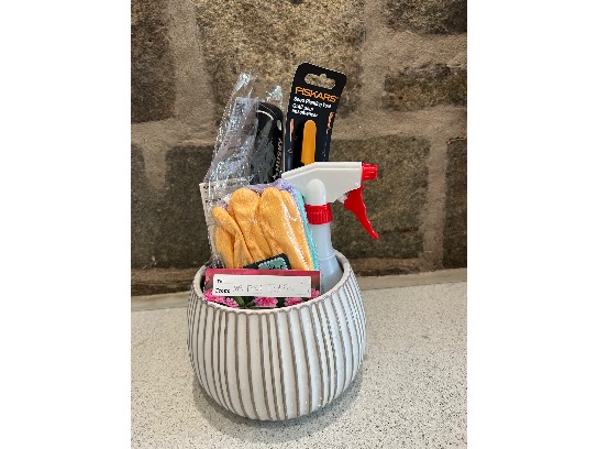 Image of the Item